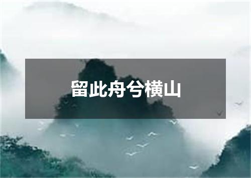 留此舟兮横山