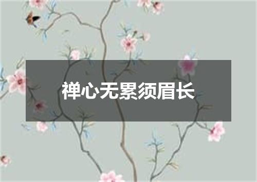 禅心无累须眉长