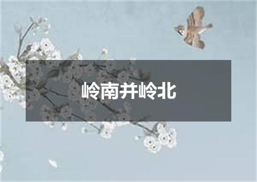 岭南并岭北