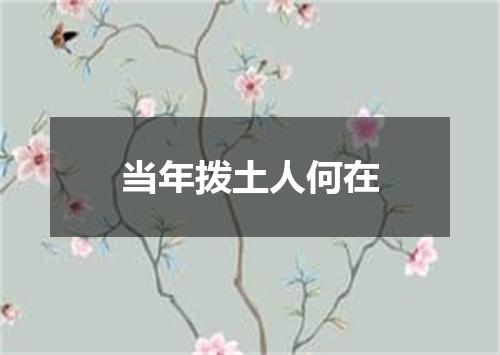 当年拨土人何在
