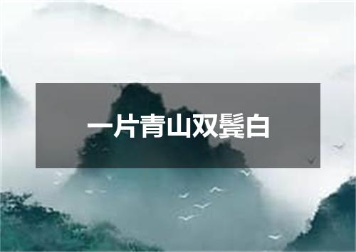一片青山双鬓白