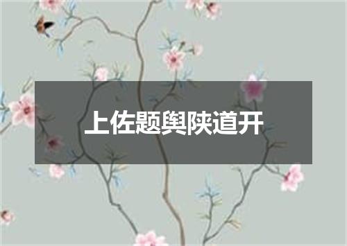 上佐题舆陕道开