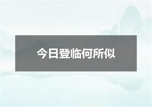 今日登临何所似