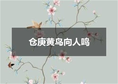 仓庚黄鸟向人鸣