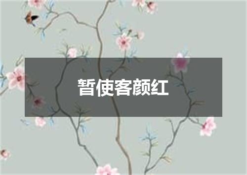 暂使客颜红