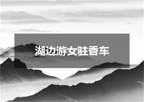 湖边游女驻香车