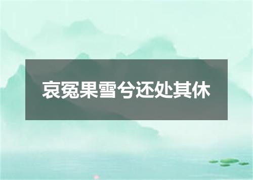 哀冤果雪兮还处其休