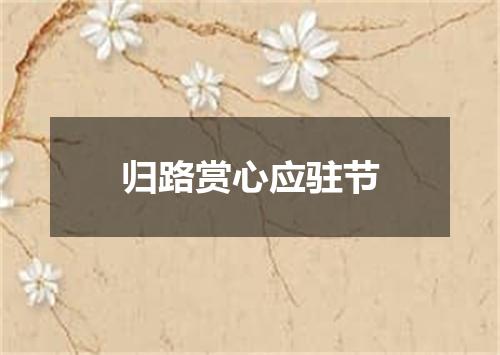 归路赏心应驻节