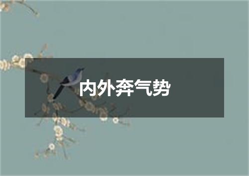 内外奔气势