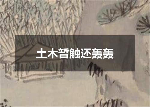 土木暂触还轰轰