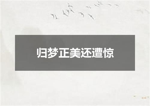 归梦正美还遭惊
