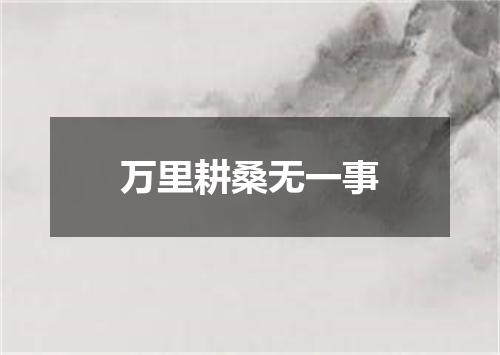 万里耕桑无一事
