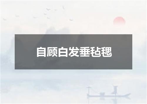 自顾白发垂毡毸