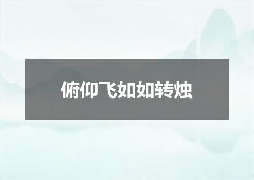 俯仰飞如如转烛