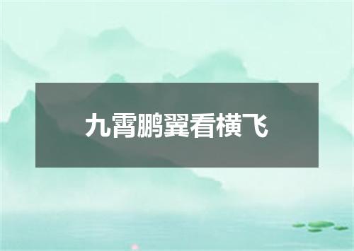 九霄鹏翼看横飞