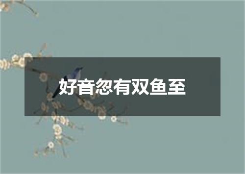 好音忽有双鱼至