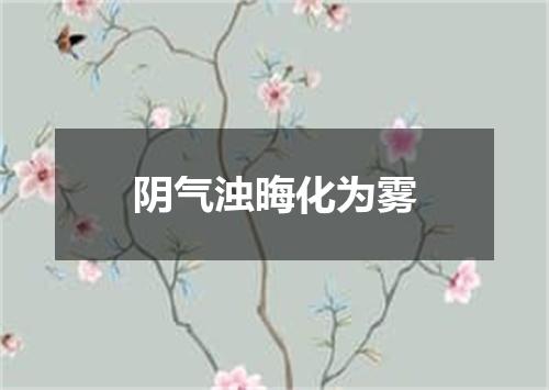 阴气浊晦化为雾