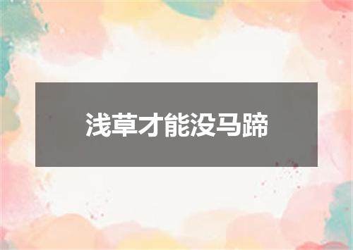 浅草才能没马蹄