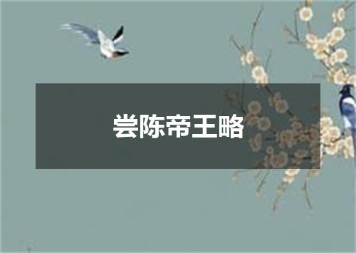 尝陈帝王略