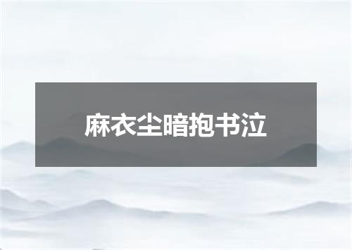 麻衣尘暗抱书泣