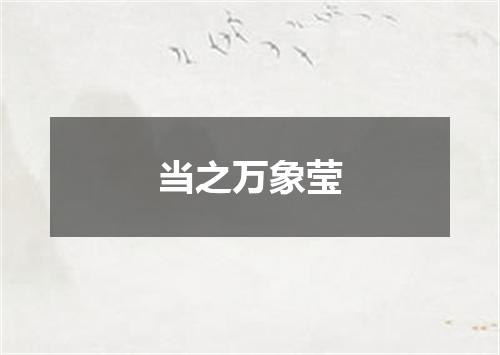 当之万象莹