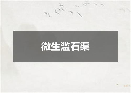 微生滥石渠