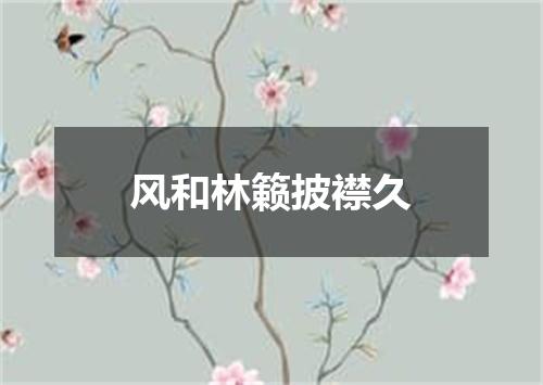 风和林籁披襟久