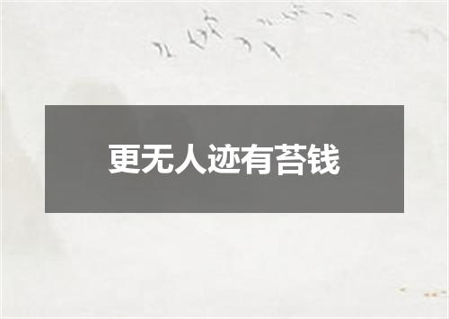 更无人迹有苔钱