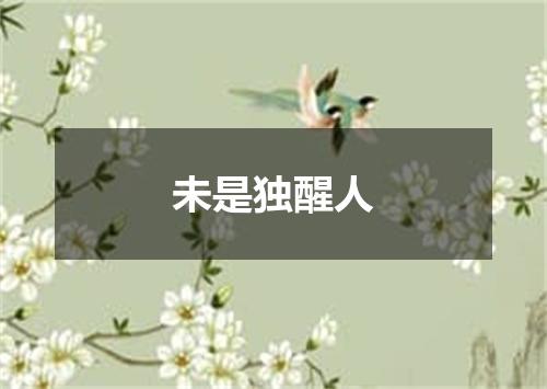 未是独醒人