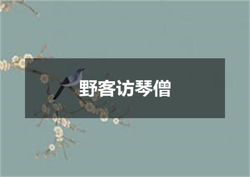 野客访琴僧