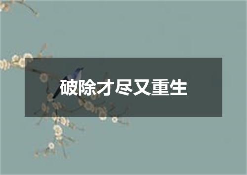 破除才尽又重生