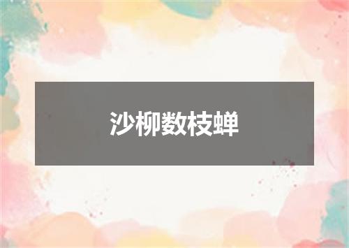 沙柳数枝蝉