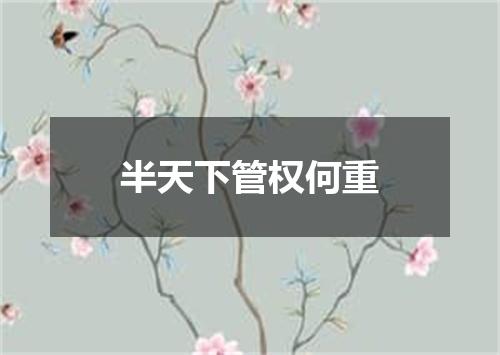 半天下管权何重
