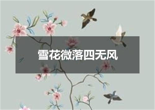 雪花微落四无风