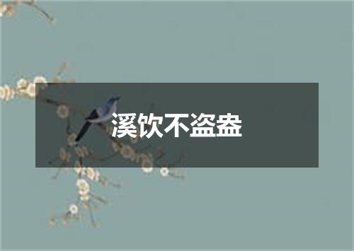 溪饮不盗盎