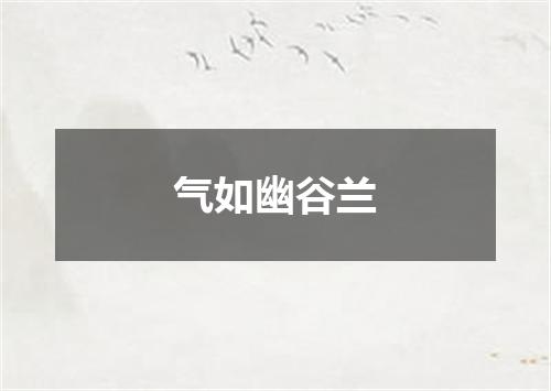 气如幽谷兰