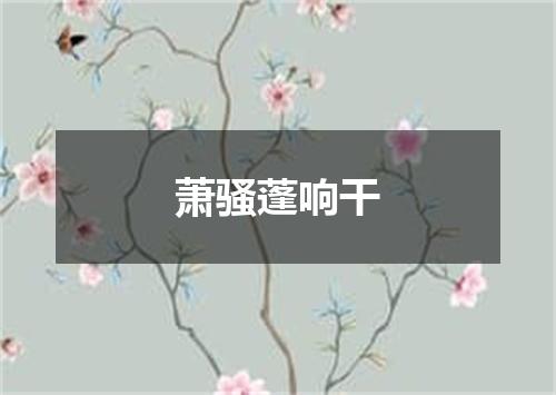 萧骚蓬响干