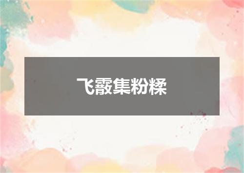 飞霰集粉糅