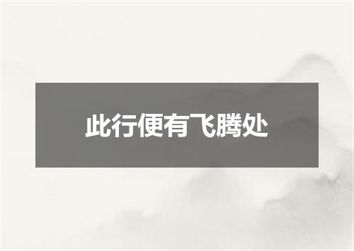 此行便有飞腾处