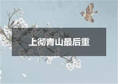 上彻青山最后重