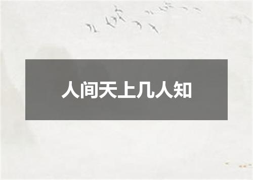 人间天上几人知