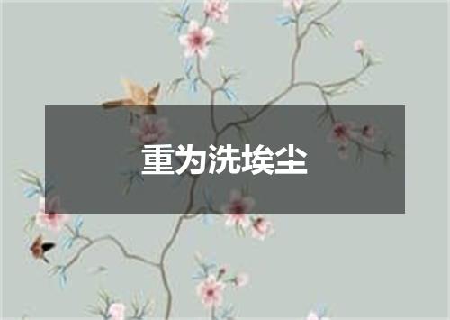 重为洗埃尘