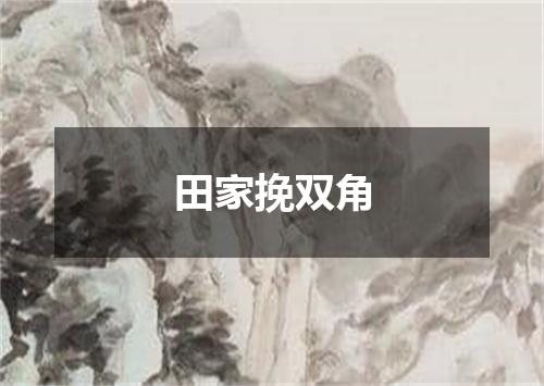 田家挽双角