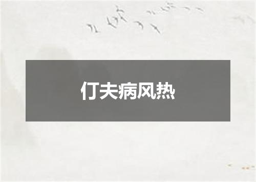 仃夫病风热