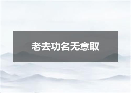 老去功名无意取