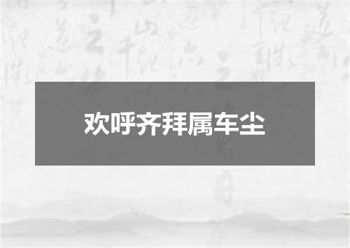 欢呼齐拜属车尘