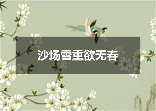 沙场雪重欲无春