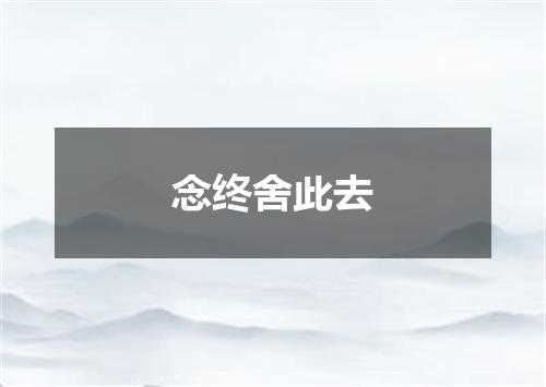 念终舍此去