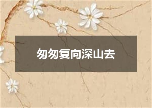 匆匆复向深山去