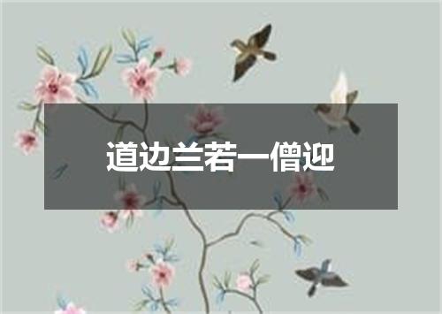 道边兰若一僧迎